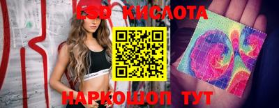 mdpv Кингисепп