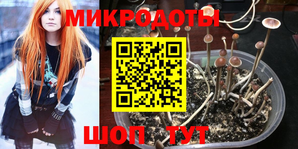 Галлюциногенные грибы мицелий Усть-Джегута