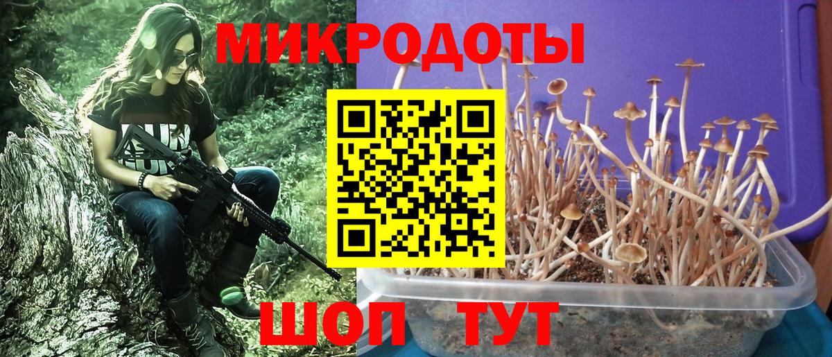 Усть-Джегута  Псилоцибиновые грибы Magic Shrooms  Вход с VPN 